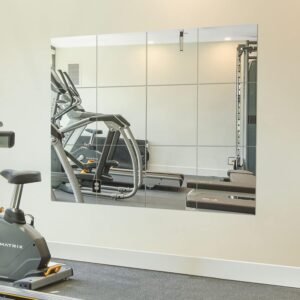 Ruomeng Home Gym Mirrors