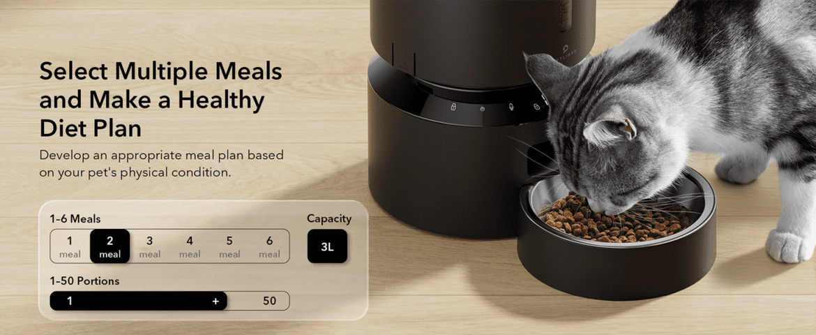 PETLIBRO automatic cat feeder review